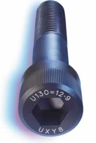 Cylinder Head 12.9 tensile M10 x 100mm socket head cap screws Cylinder Head 12.9 tensile M10 x 100mm socket head cap screws